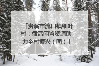 贵溪市流口镇细叶村：盘活闲置资源助力乡村振兴（图）
