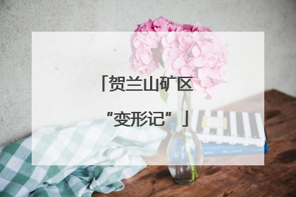 贺兰山矿区“变形记”