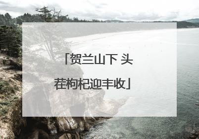 贺兰山下 头茬枸杞迎丰收