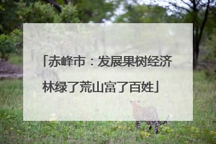 赤峰市：发展果树经济林绿了荒山富了百姓