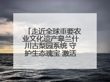 走近全球重要农业文化遗产皋兰什川古梨园系统 守护生态瑰宝 激活发展动能
