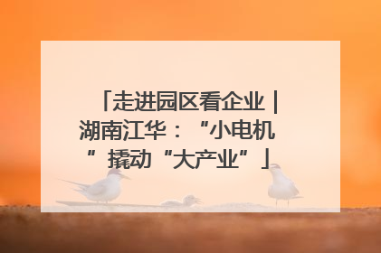 走进园区看企业｜湖南江华：“小电机”撬动“大产业”