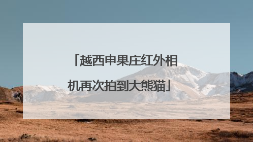 越西申果庄红外相机再次拍到大熊猫