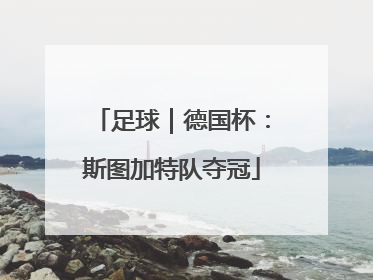 足球｜德国杯：斯图加特队夺冠