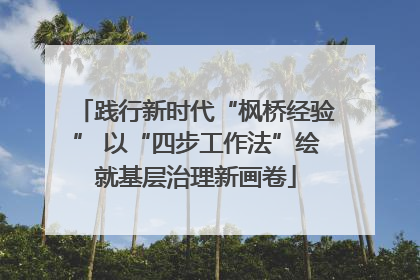 践行新时代“枫桥经验” 以“四步工作法”绘就基层治理新画卷