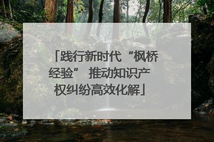 践行新时代“枫桥经验” 推动知识产权纠纷高效化解