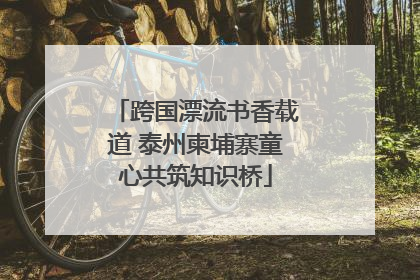跨国漂流书香载道 泰州柬埔寨童心共筑知识桥
