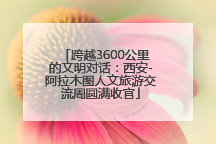 跨越3600公里的文明对话：西安-阿拉木图人文旅游交流周圆满收官