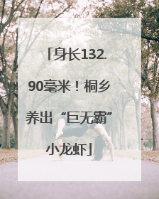 身长132.90毫米！桐乡养出“巨无霸”小龙虾