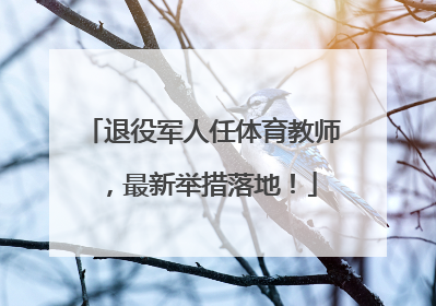 退役军人任体育教师，最新举措落地！