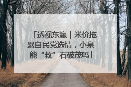 透视东瀛｜米价拖累自民党选情，小泉能“救”石破茂吗