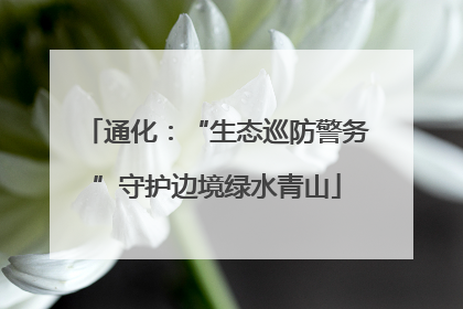 通化：“生态巡防警务”守护边境绿水青山