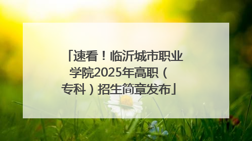 速看！临沂城市职业学院2025年高职（专科）招生简章发布