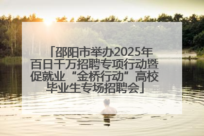 邵阳市举办2025年百日千万招聘专项行动暨促就业“金桥行动”高校毕业生专场招聘会