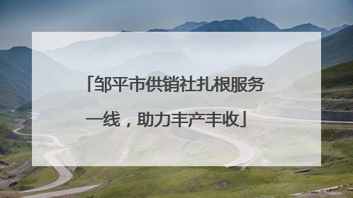 邹平市供销社扎根服务一线，助力丰产丰收