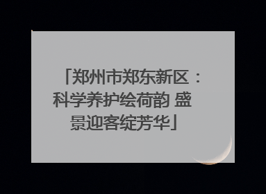 郑州市郑东新区：科学养护绘荷韵 盛景迎客绽芳华