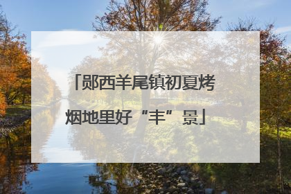 郧西羊尾镇初夏烤烟地里好“丰”景