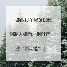 郧西县羊尾镇搭建调制大棚激活烟叶产业“新动能”