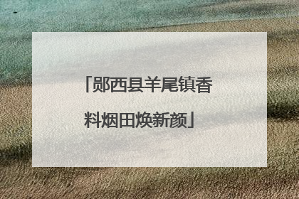 郧西县羊尾镇香料烟田焕新颜