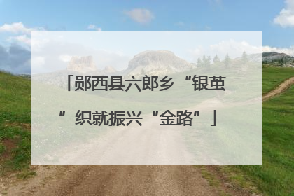 郧西县六郎乡“银茧”织就振兴“金路”