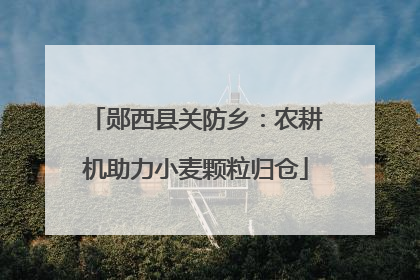 郧西县关防乡：农耕机助力小麦颗粒归仓