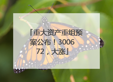 重大资产重组预案公布！300672，大涨