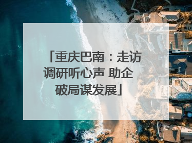 重庆巴南：走访调研听心声 助企破局谋发展
