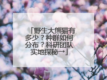 野生大熊猫有多少？种群如何分布？科研团队实地探秘→