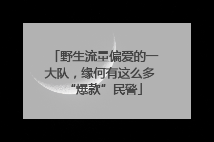 野生流量偏爱的一大队，缘何有这么多“爆款”民警