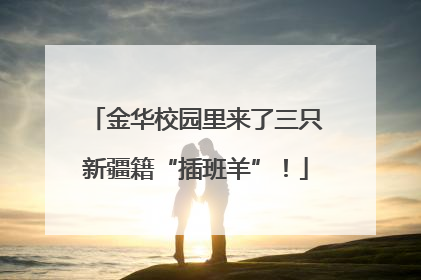 金华校园里来了三只新疆籍“插班羊”！