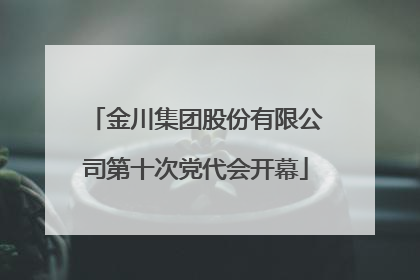 金川集团股份有限公司第十次党代会开幕