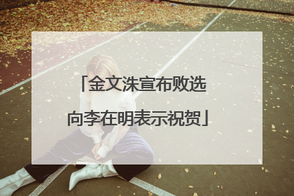 金文洙宣布败选 向李在明表示祝贺