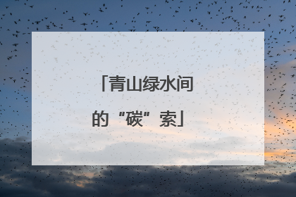 青山绿水间的“碳”索