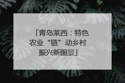 青岛莱西：特色农业“链”动乡村振兴新图景