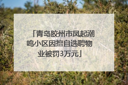 青岛胶州市凤起潮鸣小区因擅自选聘物业被罚3万元