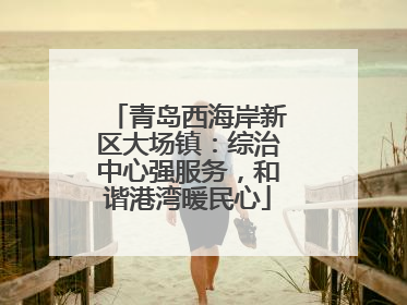 青岛西海岸新区大场镇：综治中心强服务，和谐港湾暖民心