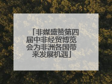 非媒盛赞第四届中非经贸博览会为非洲各国带来发展机遇