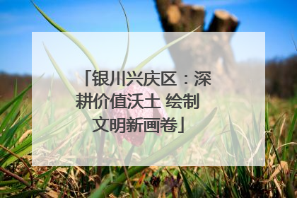 银川兴庆区：深耕价值沃土 绘制文明新画卷