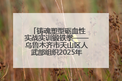 铸魂塑型砺血性 实战实训锻铁拳——乌鲁木齐市天山区人武部组织2025年度民兵集中轮训
