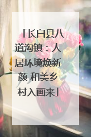 长白县八道沟镇：人居环境焕新颜 和美乡村入画来