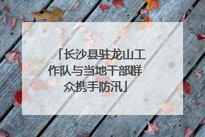 长沙县驻龙山工作队与当地干部群众携手防汛