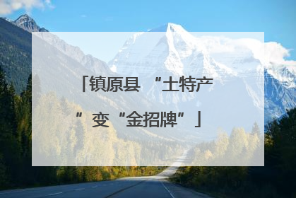 镇原县 “土特产”变“金招牌”