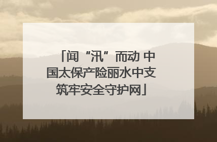 闻“汛”而动 中国太保产险丽水中支筑牢安全守护网