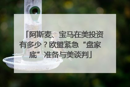 阿斯麦、宝马在美投资有多少？欧盟紧急“盘家底”准备与美谈判