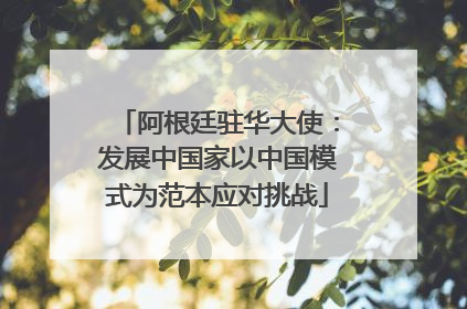 阿根廷驻华大使：发展中国家以中国模式为范本应对挑战