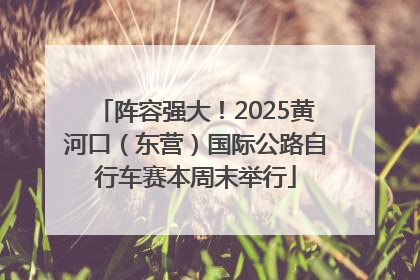 阵容强大！2025黄河口（东营）国际公路自行车赛本周末举行