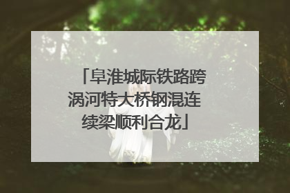 阜淮城际铁路跨涡河特大桥钢混连续梁顺利合龙