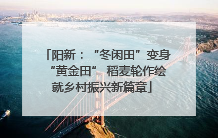 阳新：“冬闲田”变身“黄金田” 稻麦轮作绘就乡村振兴新篇章