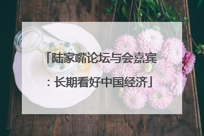 陆家嘴论坛与会嘉宾：长期看好中国经济