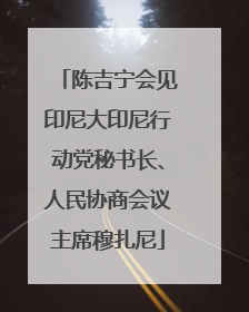 陈吉宁会见印尼大印尼行动党秘书长、人民协商会议主席穆扎尼